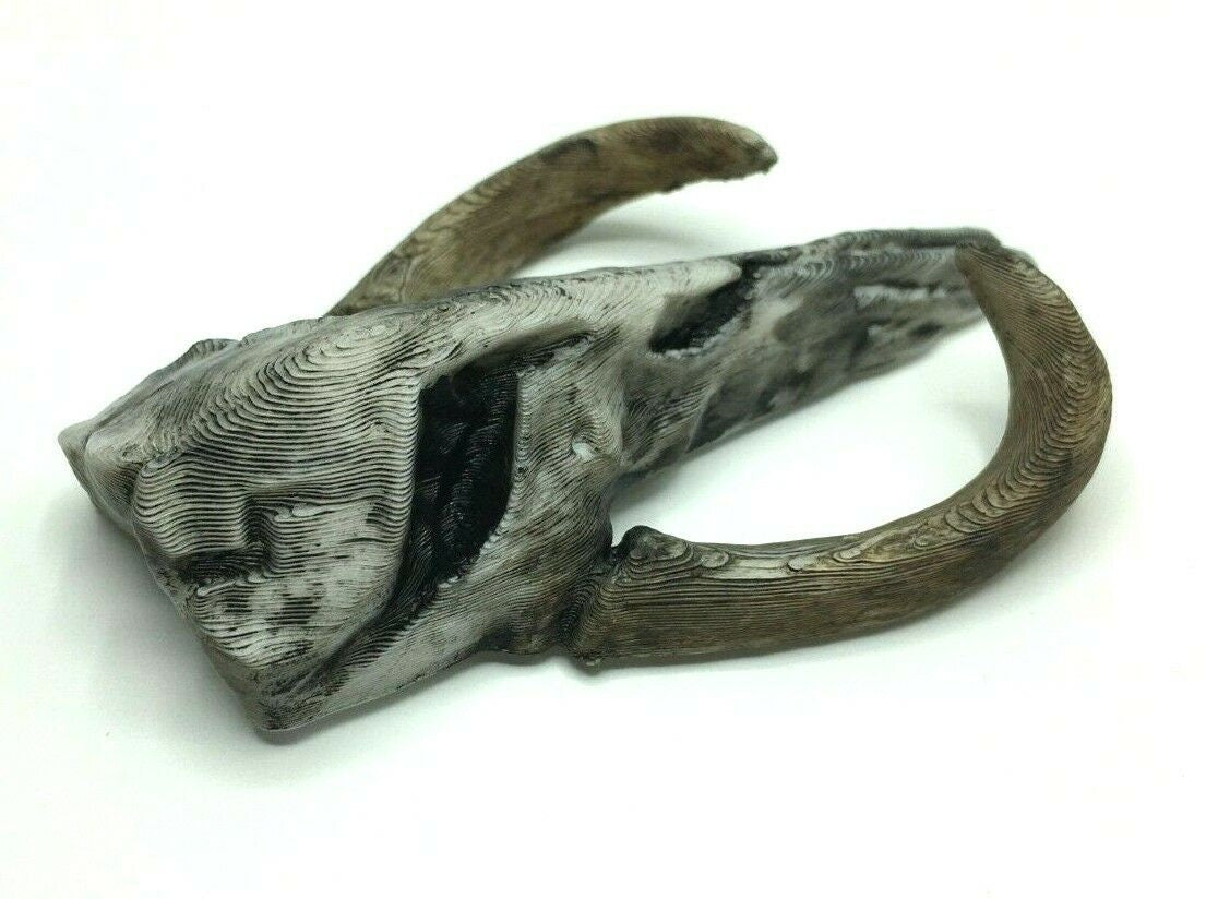 Mythosaur Skull Fridge Magnet, Skull Shaped Magnet, Hand Finished Magnet, Sci-Fi Magnet,  Skull Fridge Magnet, Gothic Skull Magnet Gift