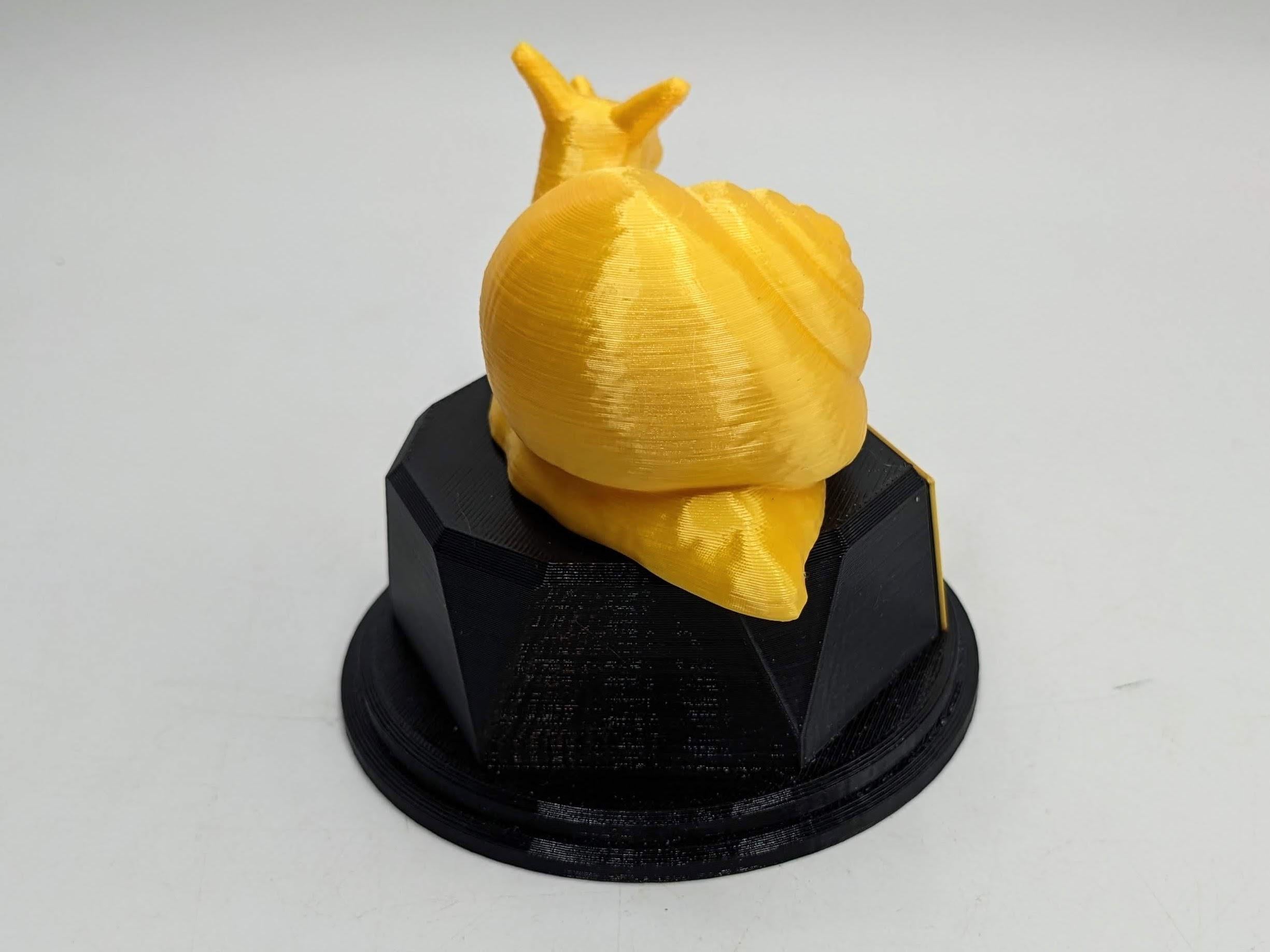 Personalised Snail Trophy / Snail Trophy / Slowest Person Award / Slow Gift / Funny Snail Award / Snail Joke Trophy / Gift for Someone Slow