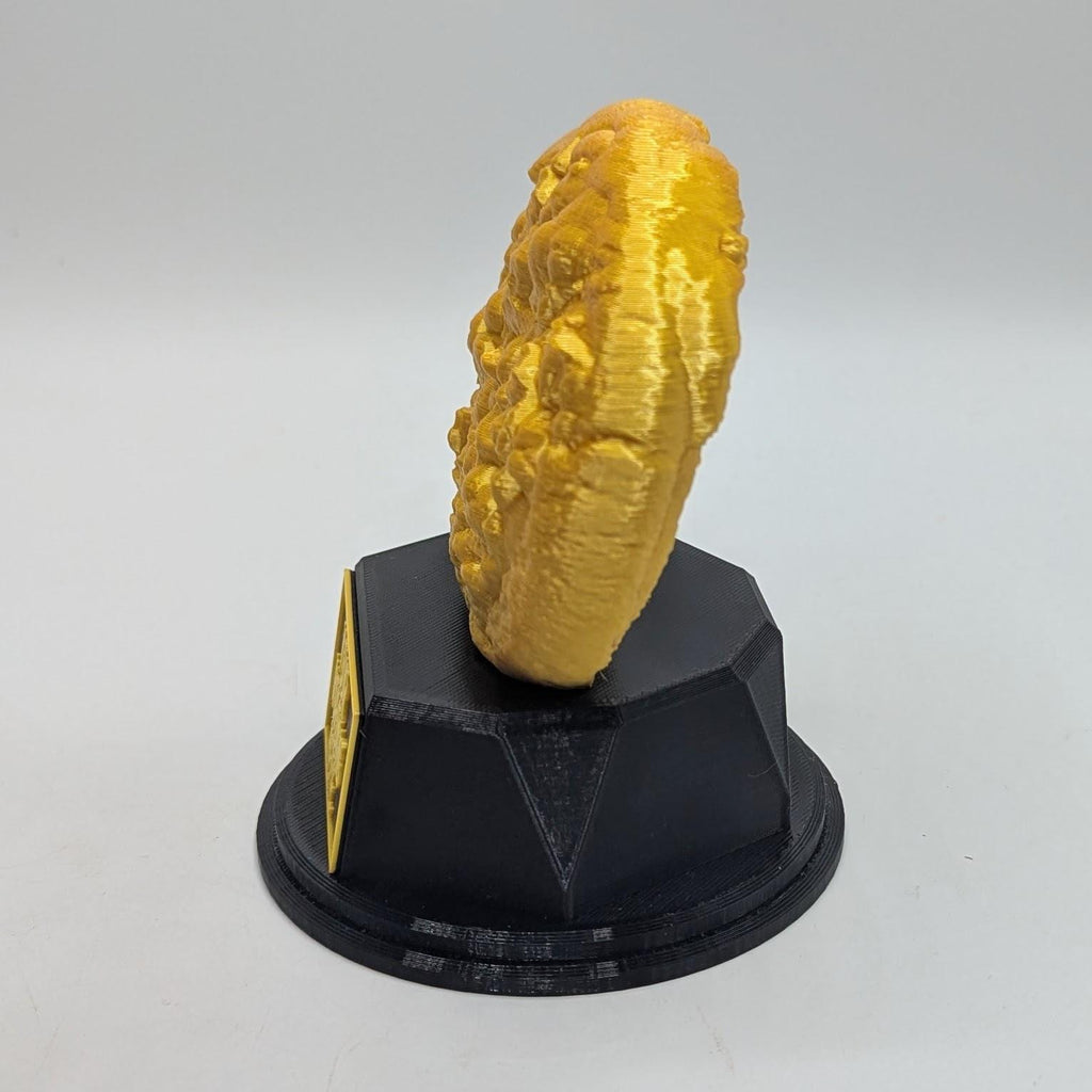 Personalised Cookie Trophy, Cookie Fun Trophy, Chocolate Chip Cookie Lover Gift, Cookie Eater Award, Biscuit Lover Gift, Custom Trophy