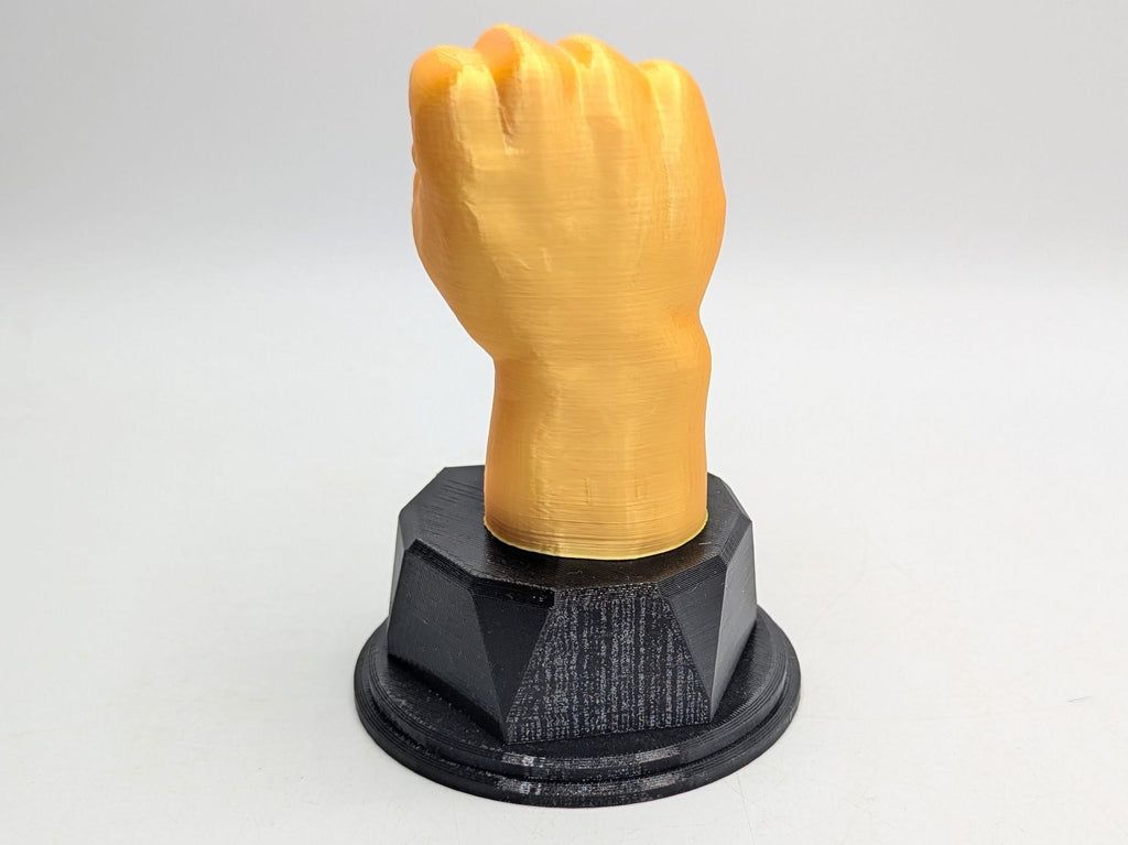Personalised Fist Trophy / Fist Trophy / Clench Fist Award / Joke Fist Award / Gift for friend Joke Award / Boxer Trophy / Boxing Award Gift