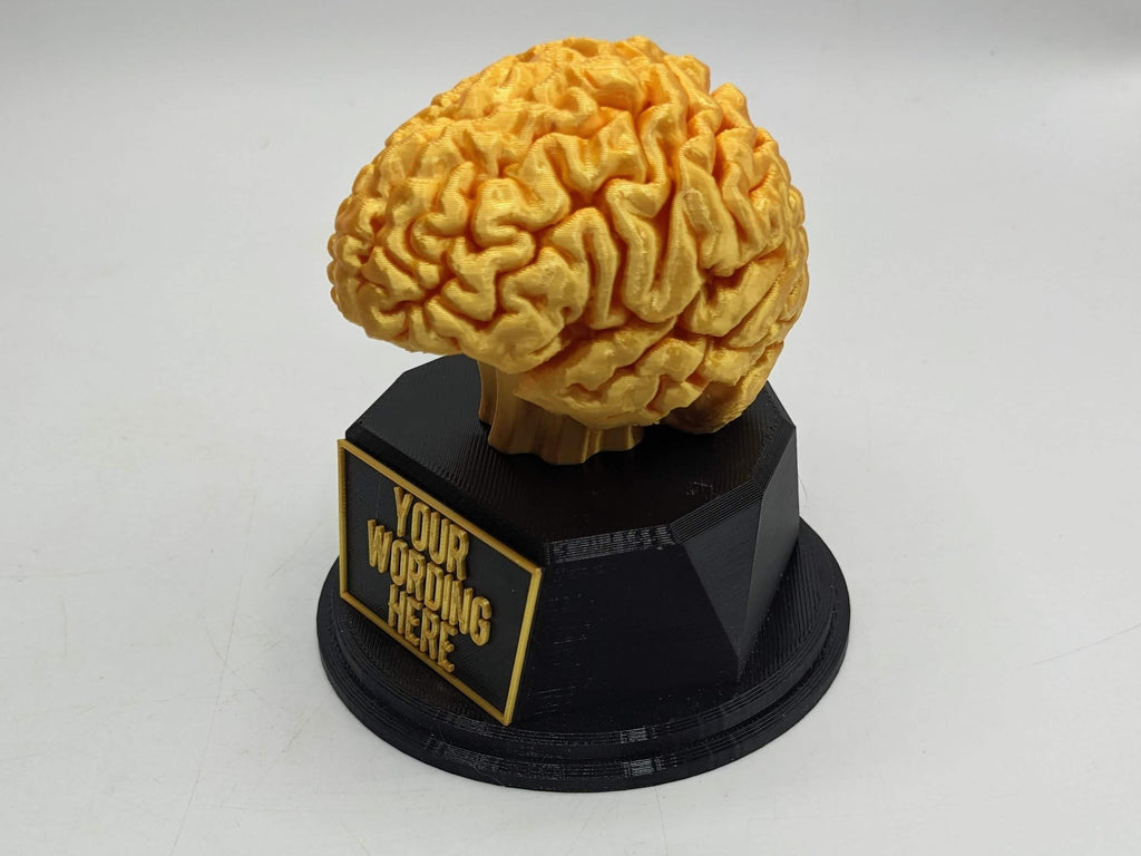 Personalised Brain Trophy, Big Brain Trophy, Best Quizzer Trophy, Clever Award Gift, Biggest Brain Trophy, Brain Award, Knowledge Trophy