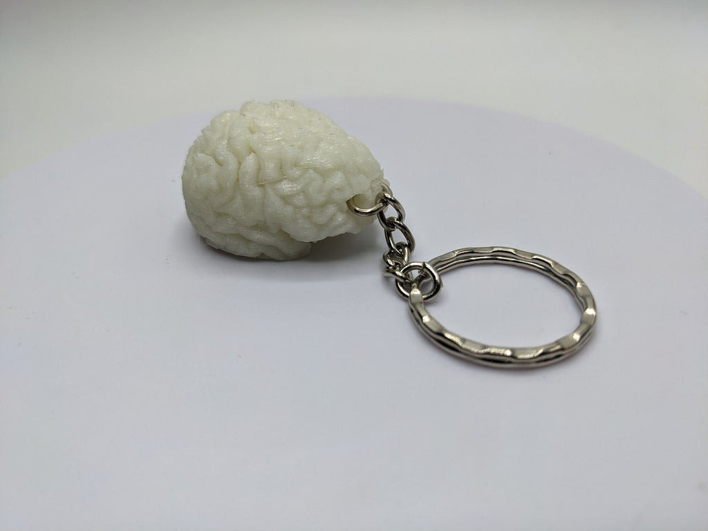 Human Brain Keyring, Brain Keychain, Brain Science Gift, Neurology Gift Keyring, Biology Student Gift, Halloween Keyring Gift, Brain Bag Tag