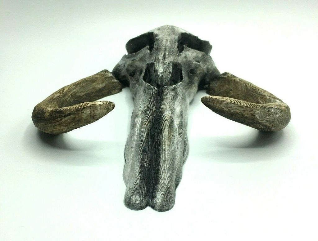 Mythosaur Skull Replica 260mm, Skull Wall Art, Skull Prop Replica, Skull Wall Art Replica, Sci-Fi Skull Wall Art, Mythosaur Skull Wall Art