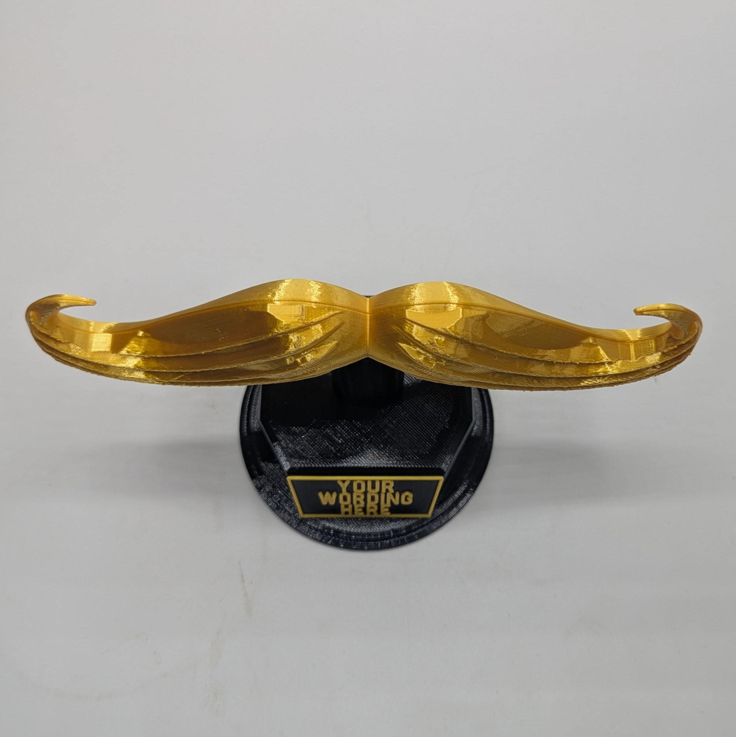 Personalised Moustache Trophy, Movember Award Gift, Custom Trophy Gift, Moustache Award Gift, Office Trophy, Best Moustache Gift, Moustache