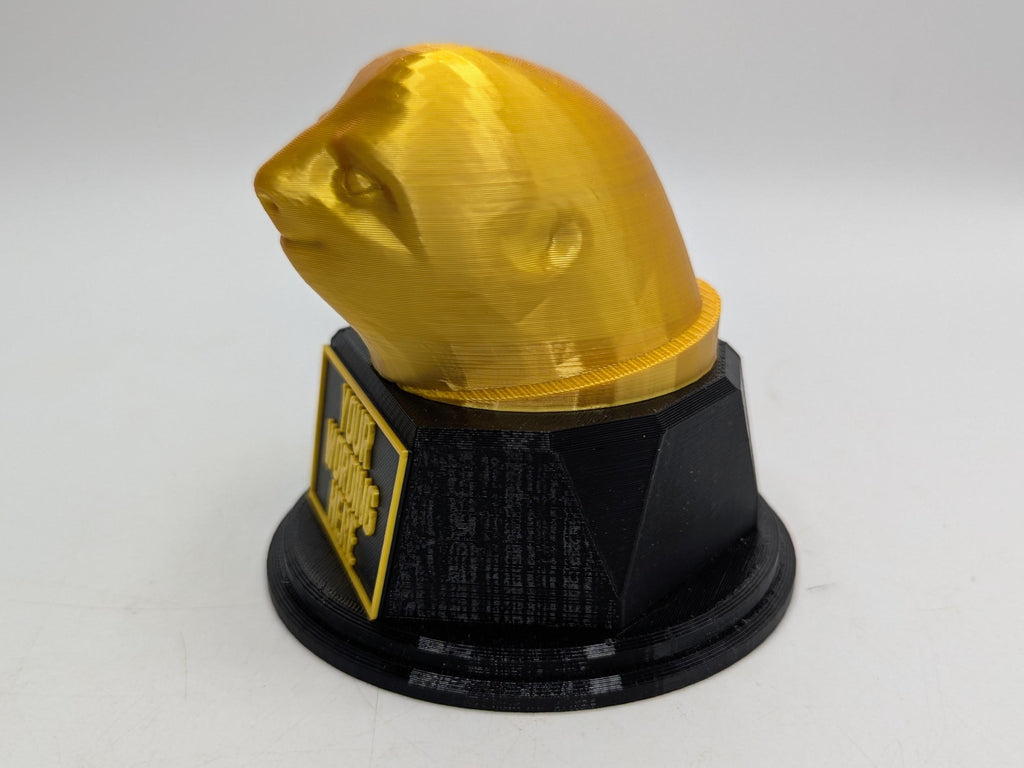 Personalised Sloth Trophy, Sloth Gift, Slow Trophy, Slowest Award, Custom Trophy, Office Trophy, Slowest Employee Award, Sloth Personalised