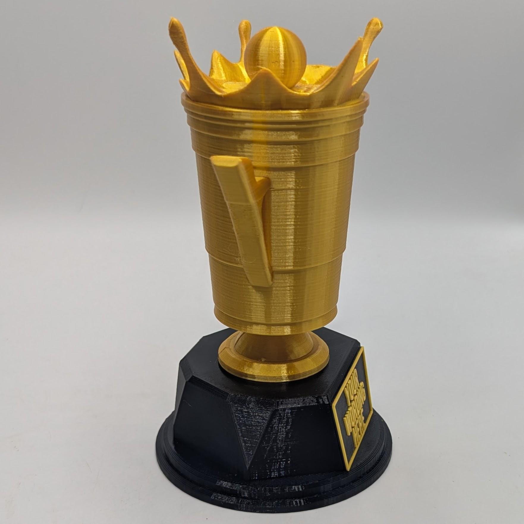 Personalised Beer Pong Trophy, Stag Night Trophy, Biggest Drinker Award, Custom Trophy, Beer Lover Gift, Funny Trophy, Office Beer Trophy