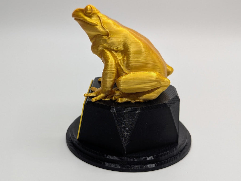 Personalised Frog Trophy, Grumpy Frog Trophy, Golden Frog Award, Custom Trophy, Golden Frog, Funny Trophy, Frog Lover Gift, Office Trophy