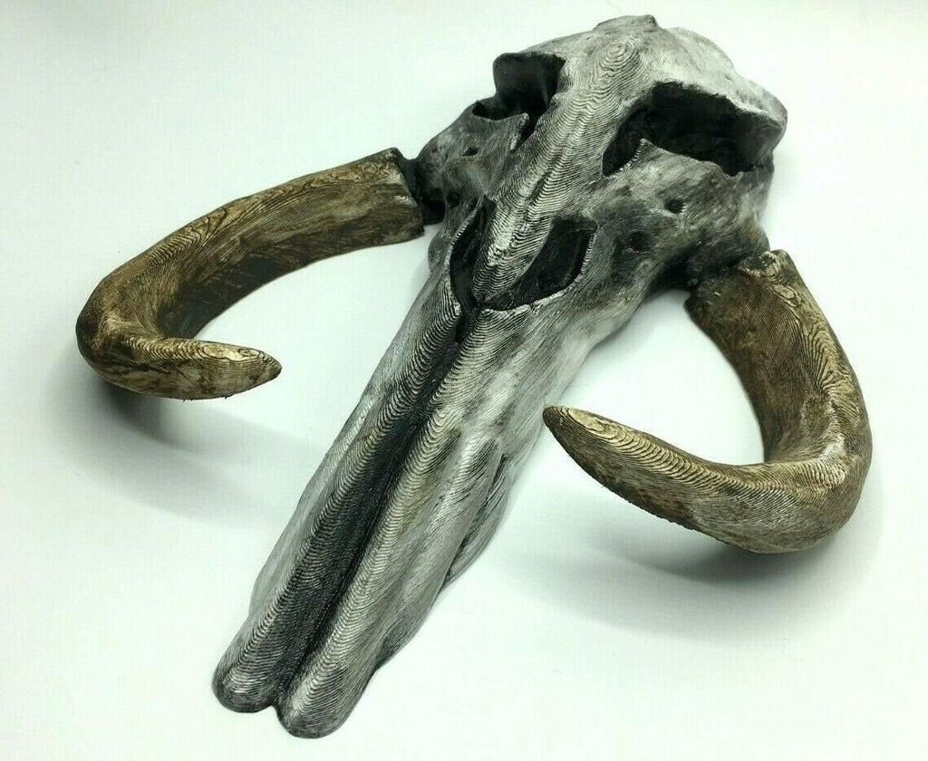 Mythosaur Skull Replica 260mm, Skull Wall Art, Skull Prop Replica, Skull Wall Art Replica, Sci-Fi Skull Wall Art, Mythosaur Skull Wall Art