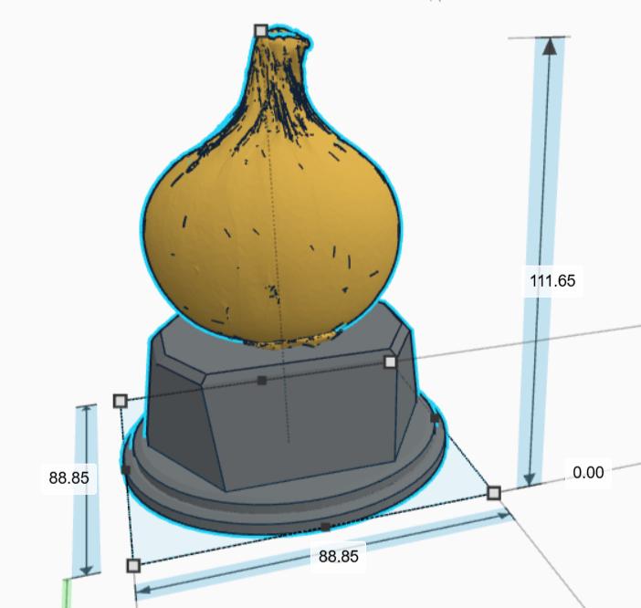 Personalised Onion Trophy, Onion Layers Trophy, Onion Lover Gift, Vegetable Award, Onion Award Trophy, Custom Onion Trophy, Onion Shape Gift