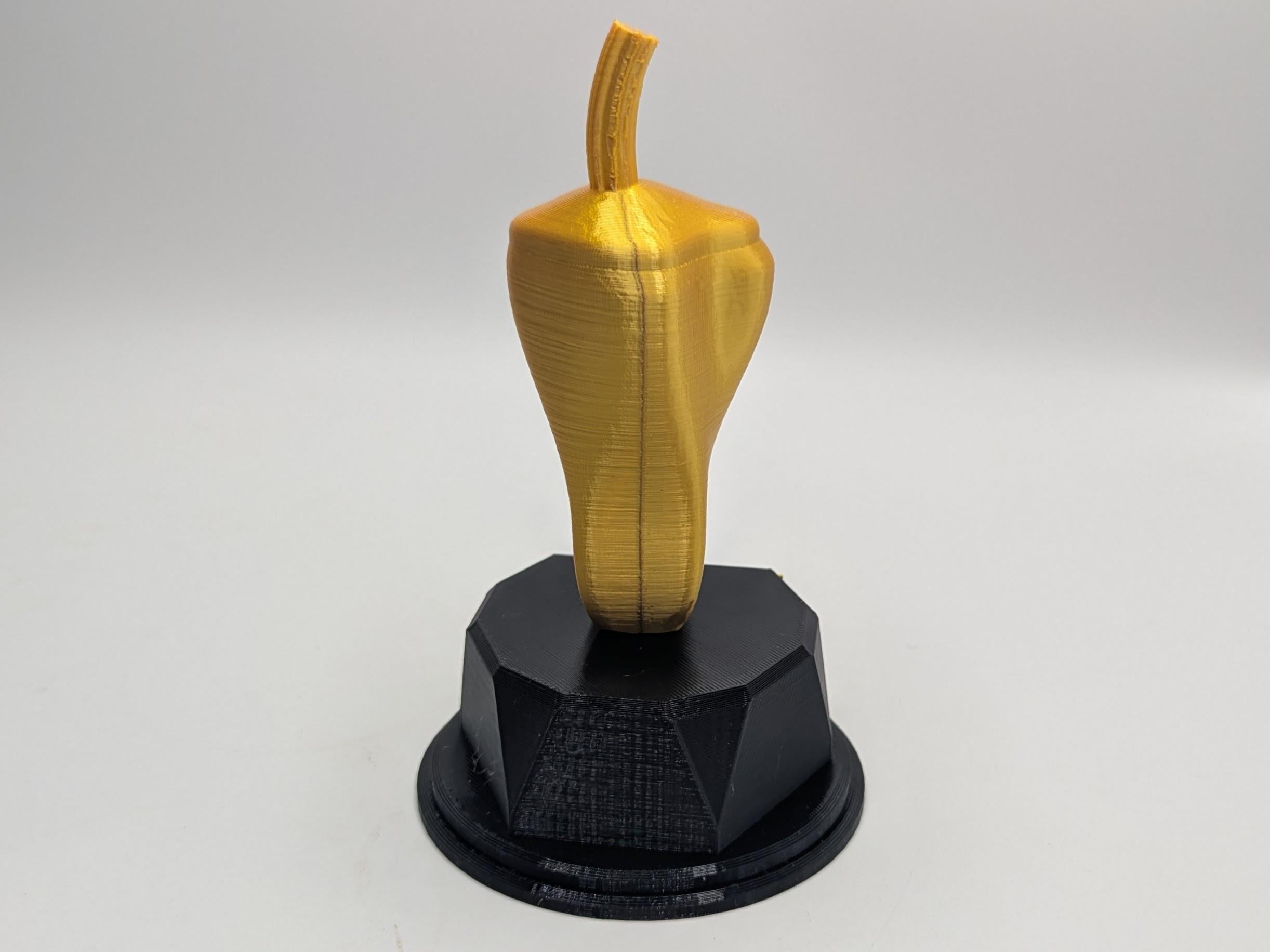 Personalised Chilli Trophy, Chilli Lover Gift, Chilli Pepper Gift, Vegetable Award, Chilli Award, Custom Chilli Trophy, Chilli Shaped Gift