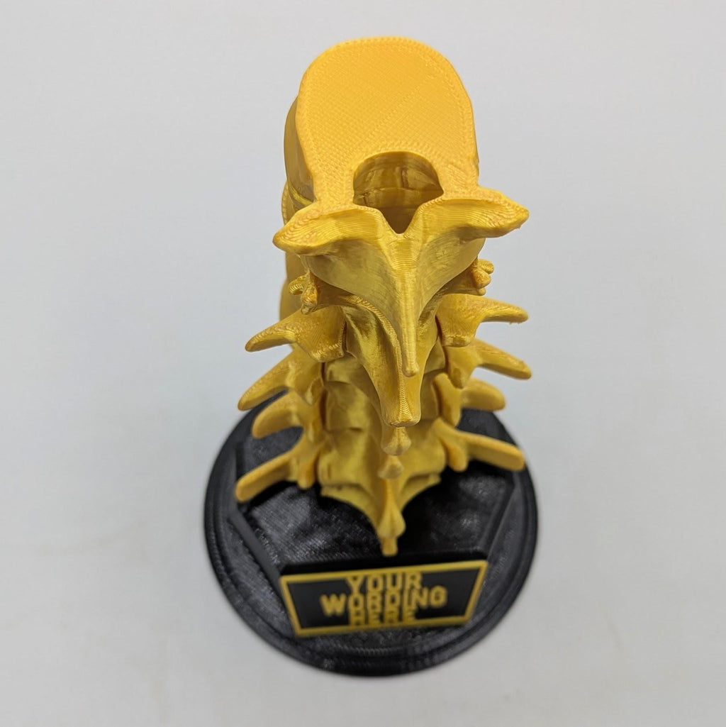Personalised Spine Trophy, Spinal Column Trophy, Doctor Trophy Award, Back Bone Award, Back Trophy, Custom Trophy Award, Back Spine Award