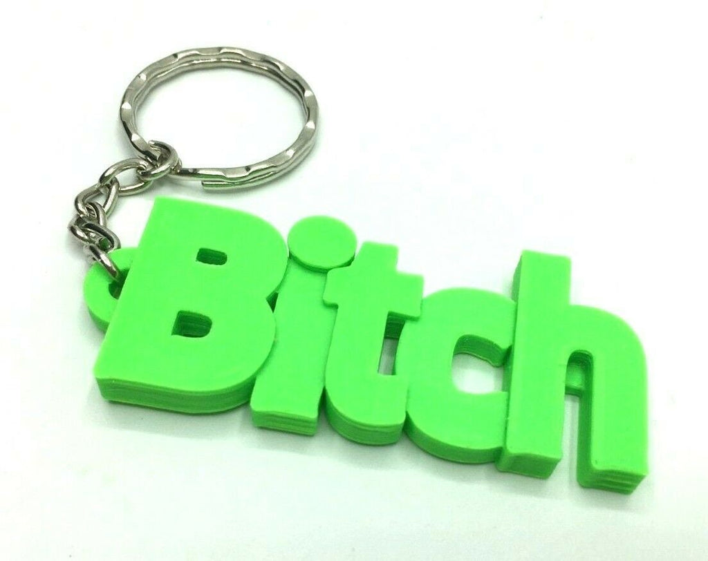 Insult Keyring / Swearword Keyring / Rude Gift for Friend / Insulting Bag Tag Gift / Adult Keyring / Funny Keychain / Insult Keyring / Gift