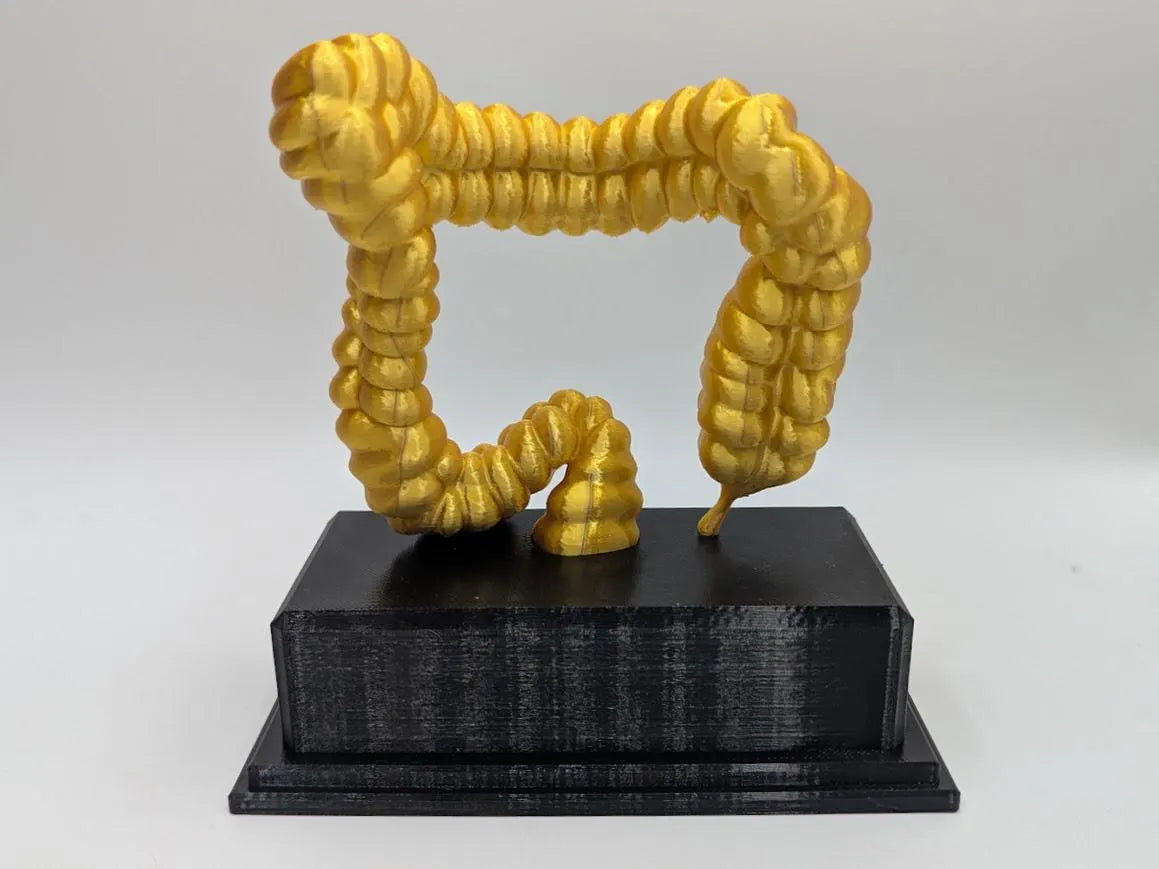 Personalised Intestine Trophy, Colon Shaped Award, Custom Trophy Gift, Doctor Award Trophy, Nurse Trophy, Body Trophy Award, Lower Intestine