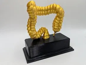 Personalised Intestine Trophy, Colon Shaped Award, Custom Trophy Gift, Doctor Award Trophy, Nurse Trophy, Body Trophy Award, Lower Intestine