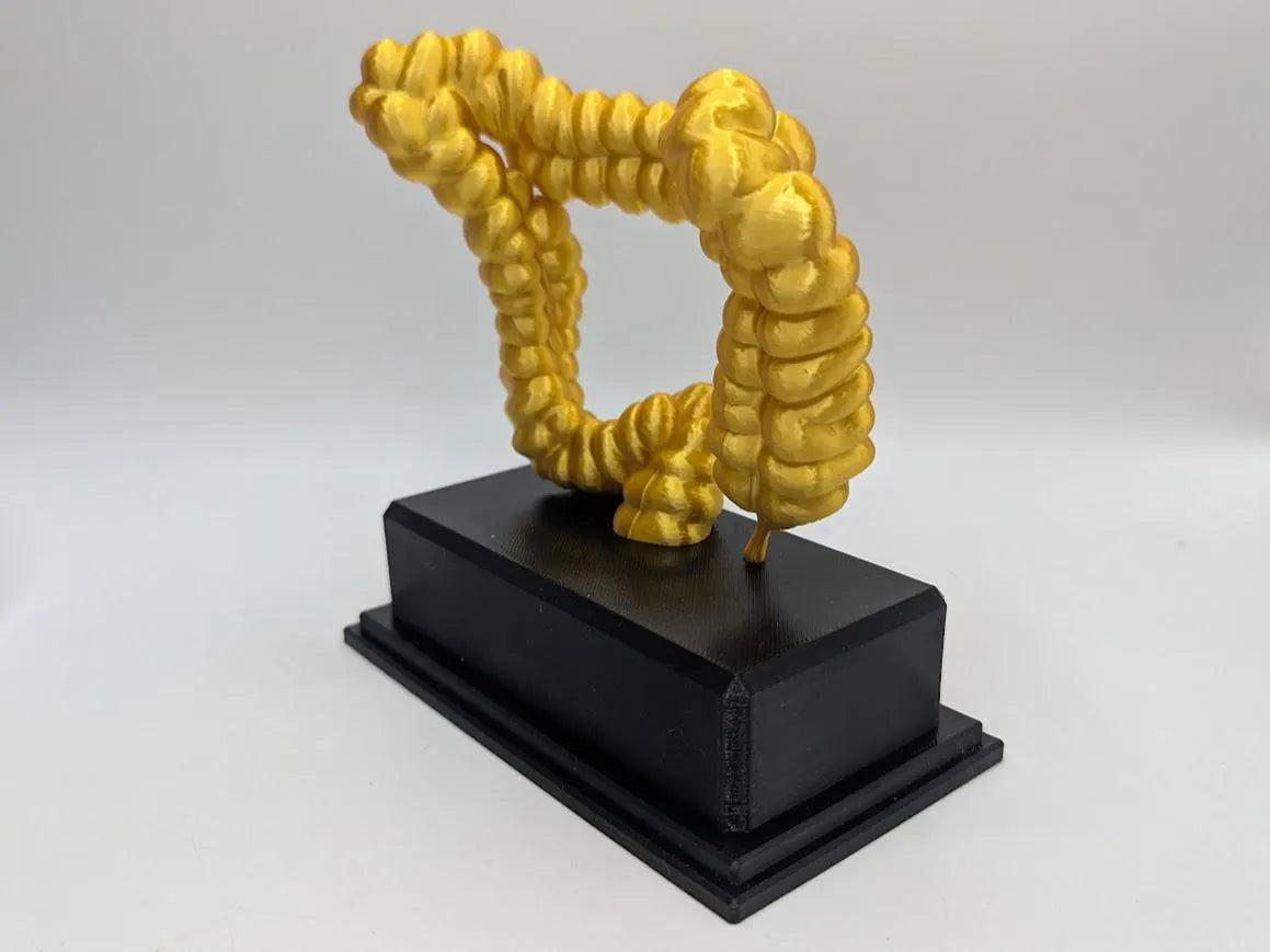 Personalised Intestine Trophy, Colon Shaped Award, Custom Trophy Gift, Doctor Award Trophy, Nurse Trophy, Body Trophy Award, Lower Intestine