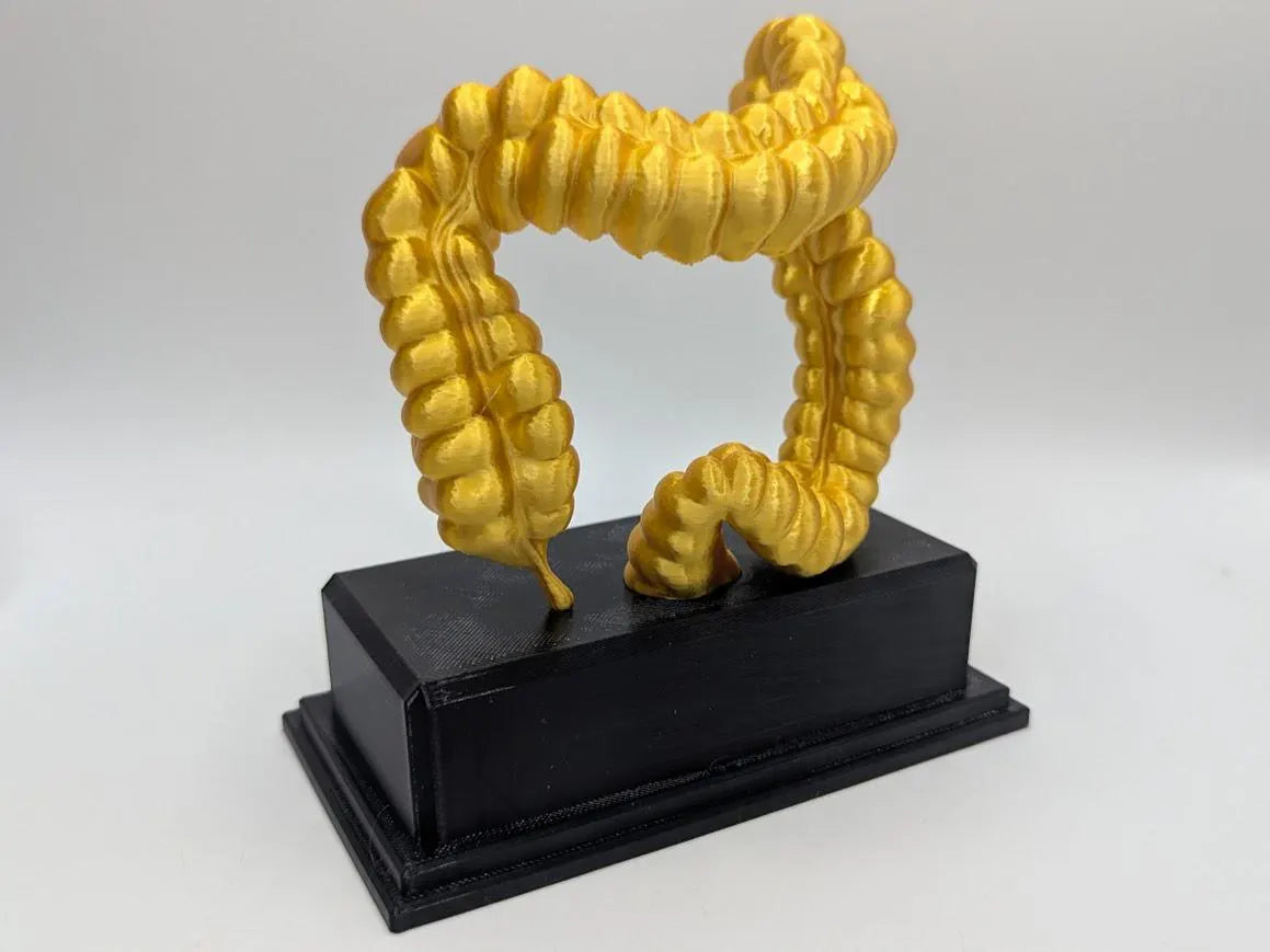 Personalised Intestine Trophy, Colon Shaped Award, Custom Trophy Gift, Doctor Award Trophy, Nurse Trophy, Body Trophy Award, Lower Intestine