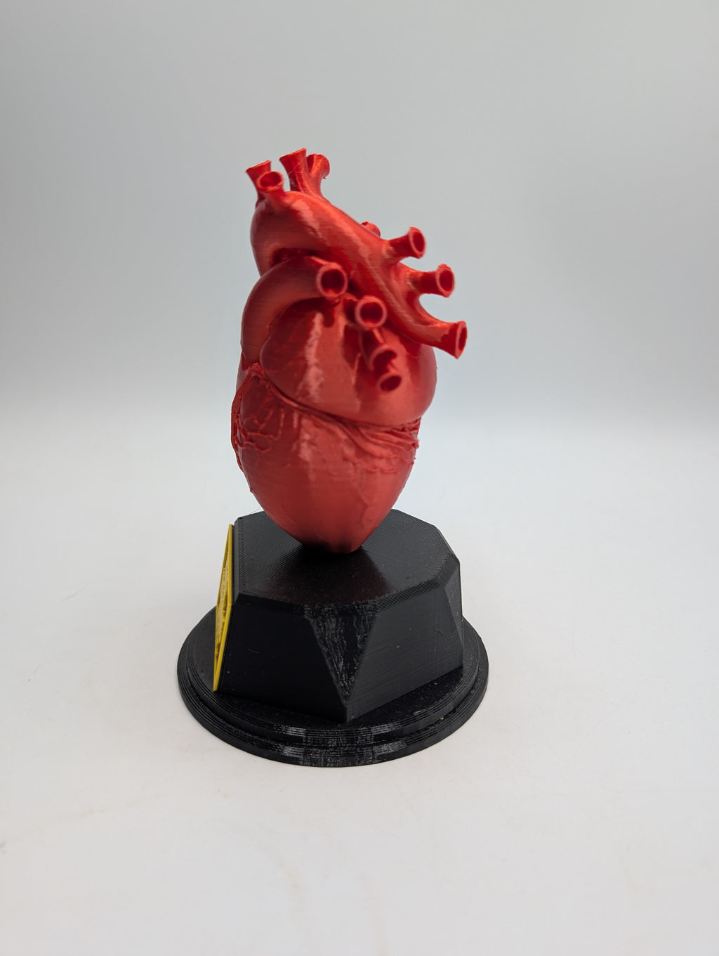 Personalised Heart Trophy, Heart Shape Gift, Heart Doctor Award, Human Heart Gift, Custom Award, Doctor Trophy Award, Custom Heart Award