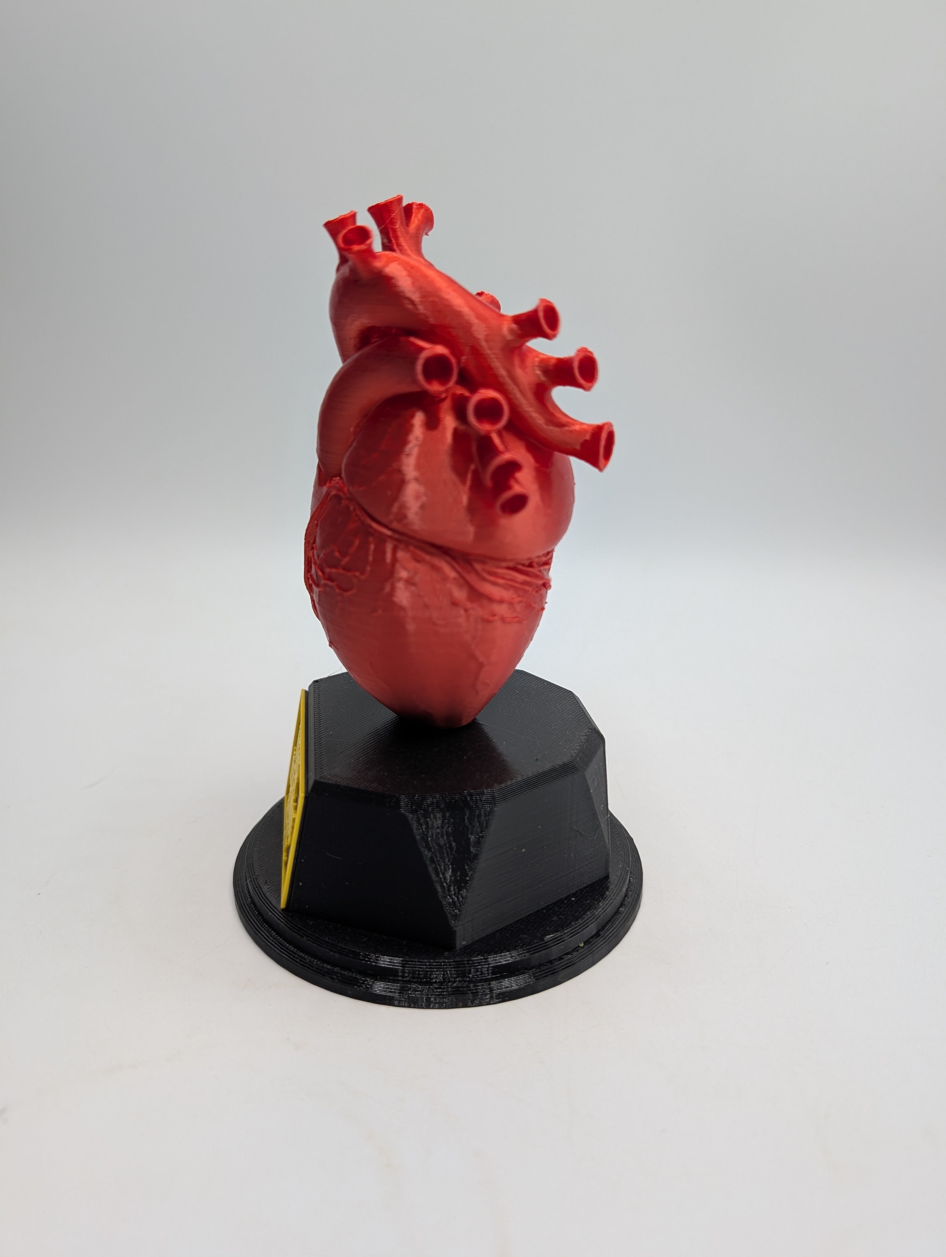 Personalised Heart Trophy, Heart Shape Gift, Heart Doctor Award, Human Heart Gift, Custom Award, Doctor Trophy Award, Custom Heart Award