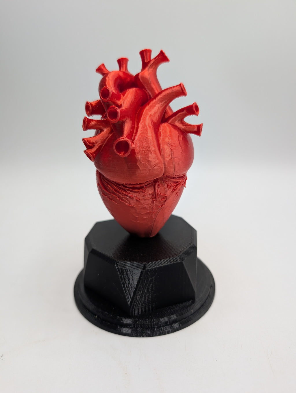 Personalised Heart Trophy, Heart Shape Gift, Heart Doctor Award, Human Heart Gift, Custom Award, Doctor Trophy Award, Custom Heart Award