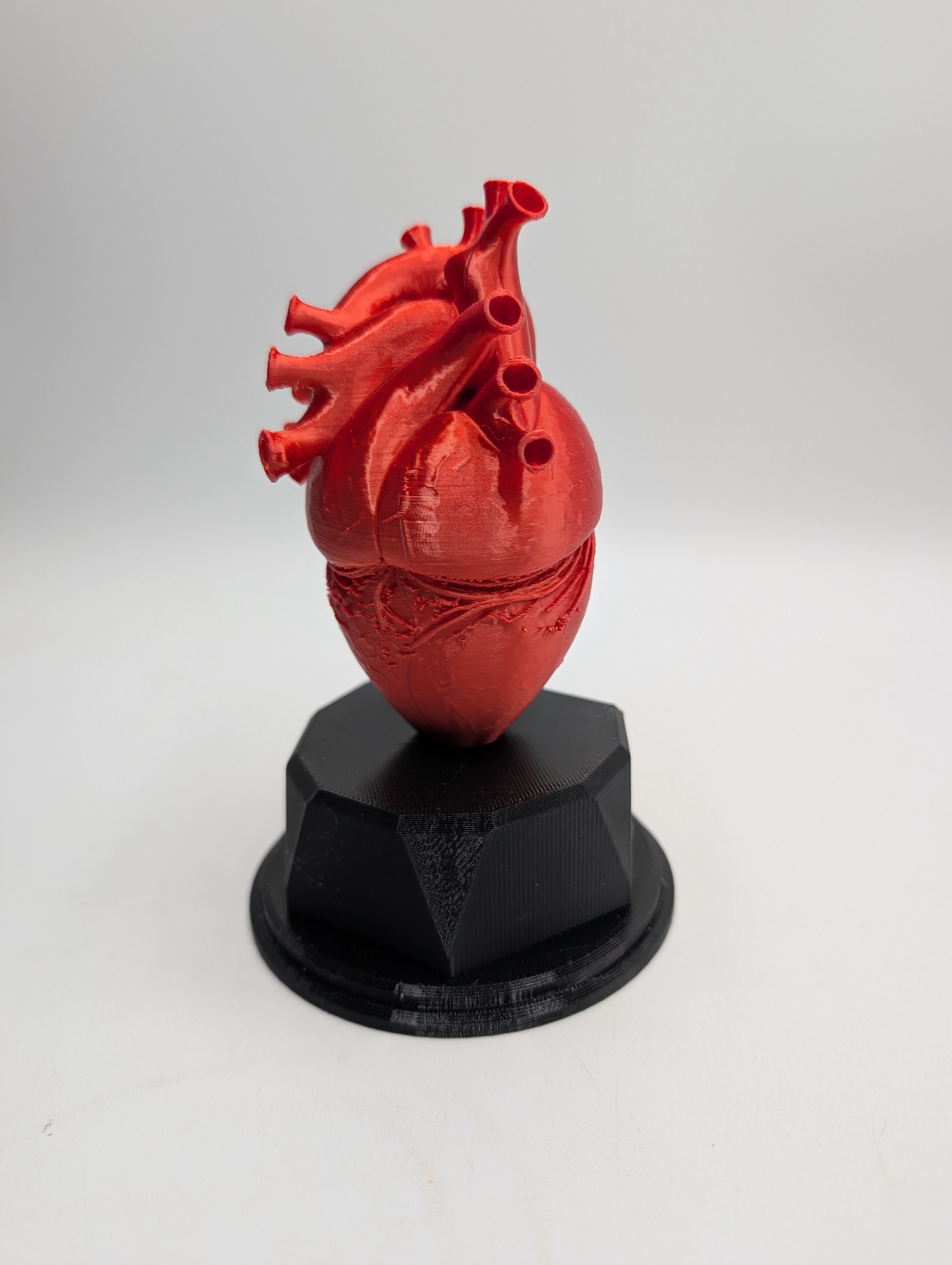 Personalised Heart Trophy, Heart Shape Gift, Heart Doctor Award, Human Heart Gift, Custom Award, Doctor Trophy Award, Custom Heart Award