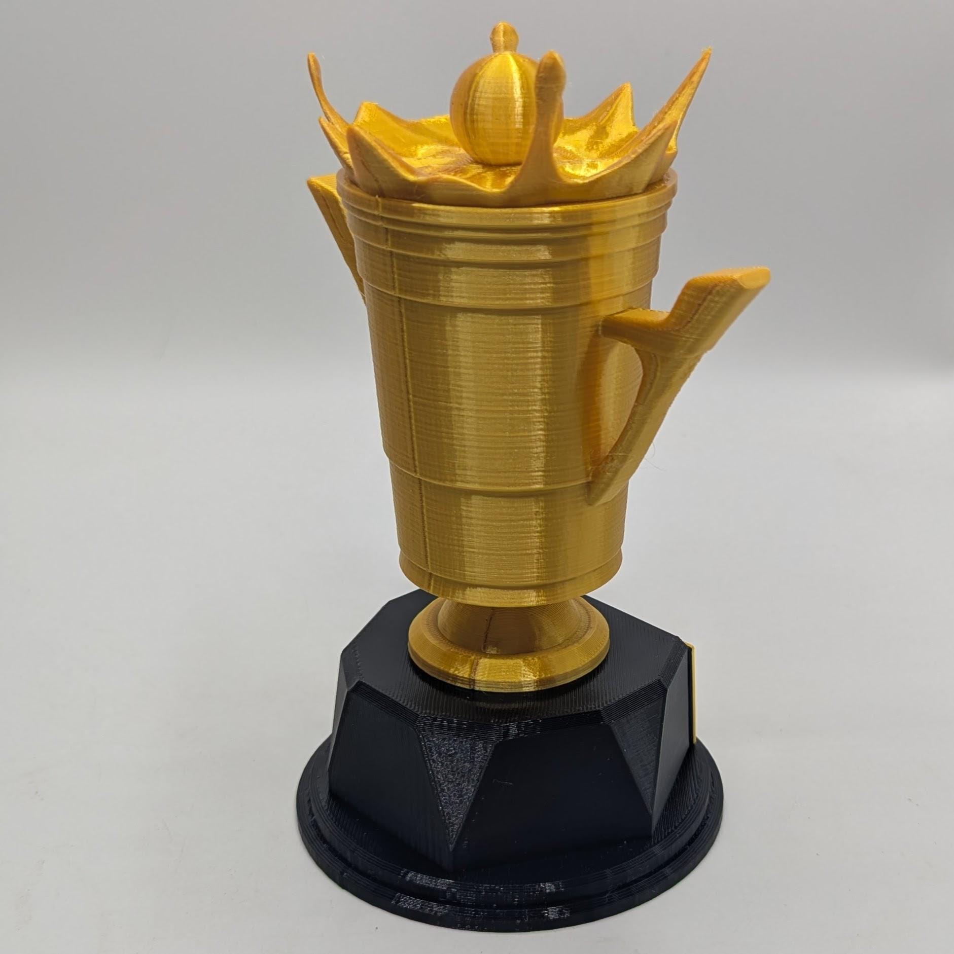 Personalised Beer Pong Trophy, Stag Night Trophy, Biggest Drinker Award, Custom Trophy, Beer Lover Gift, Funny Trophy, Office Beer Trophy