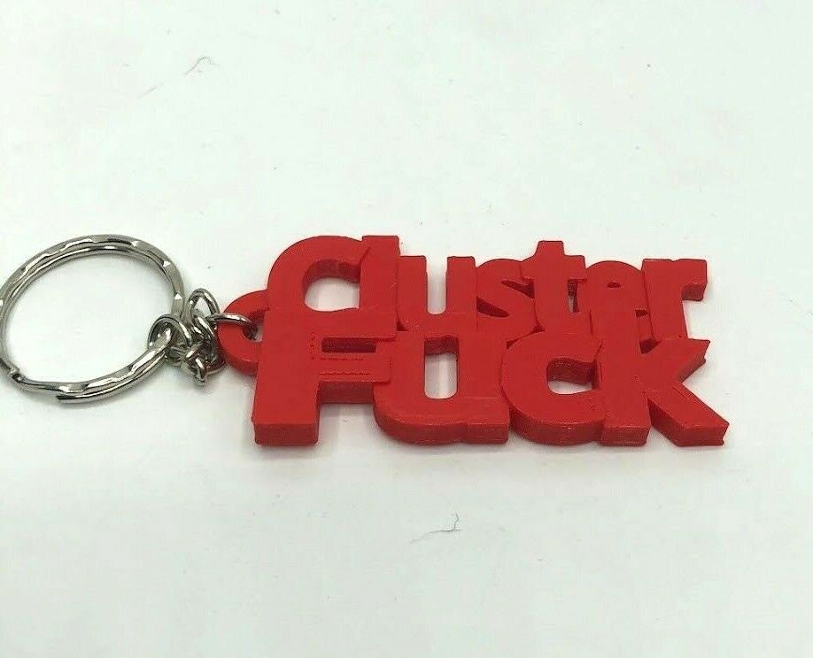 Insult Keyring / Swearword Keyring / Rude Gift for Friend / Insulting Bag Tag Gift / Adult Keyring / Funny Keychain / Insult Keyring / Gift