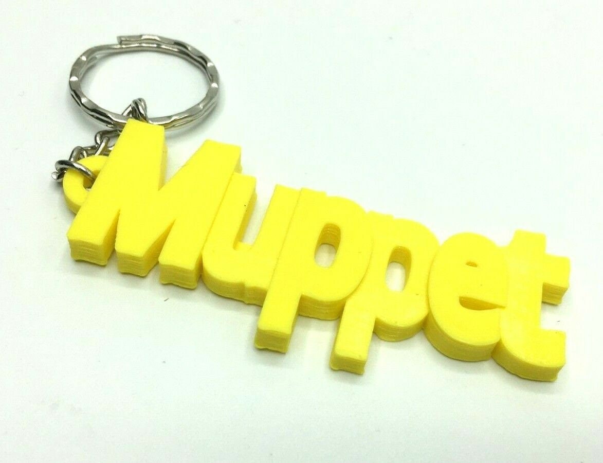 Insult Keyring / Swearword Keyring / Rude Gift for Friend / Insulting Bag Tag Gift / Adult Keyring / Funny Keychain / Insult Keyring / Gift