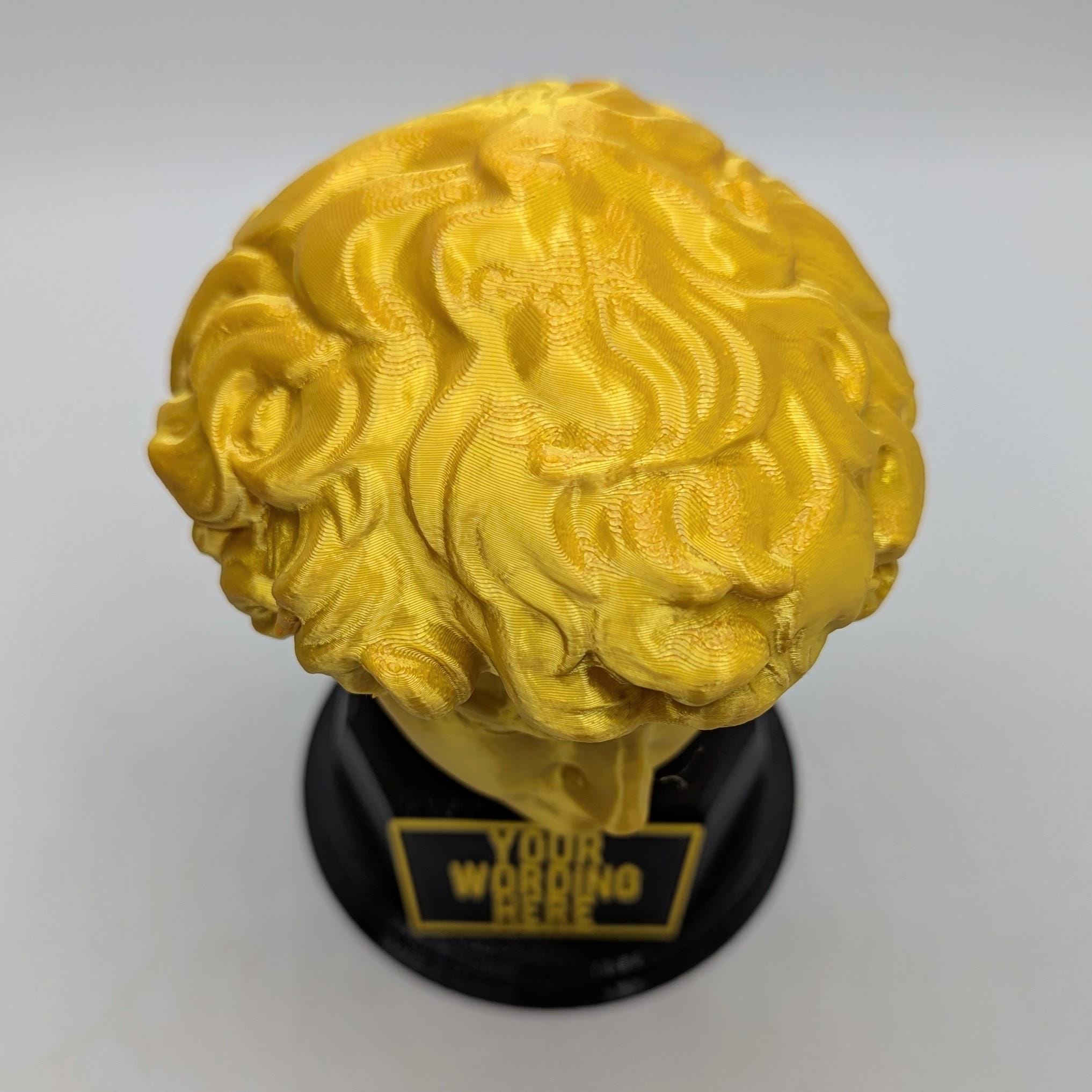 Personalised David's Head Trophy, David's Head Award, Best Employee Award, Office Trophy, Custom Trophy, Golden David Head Award, David Head