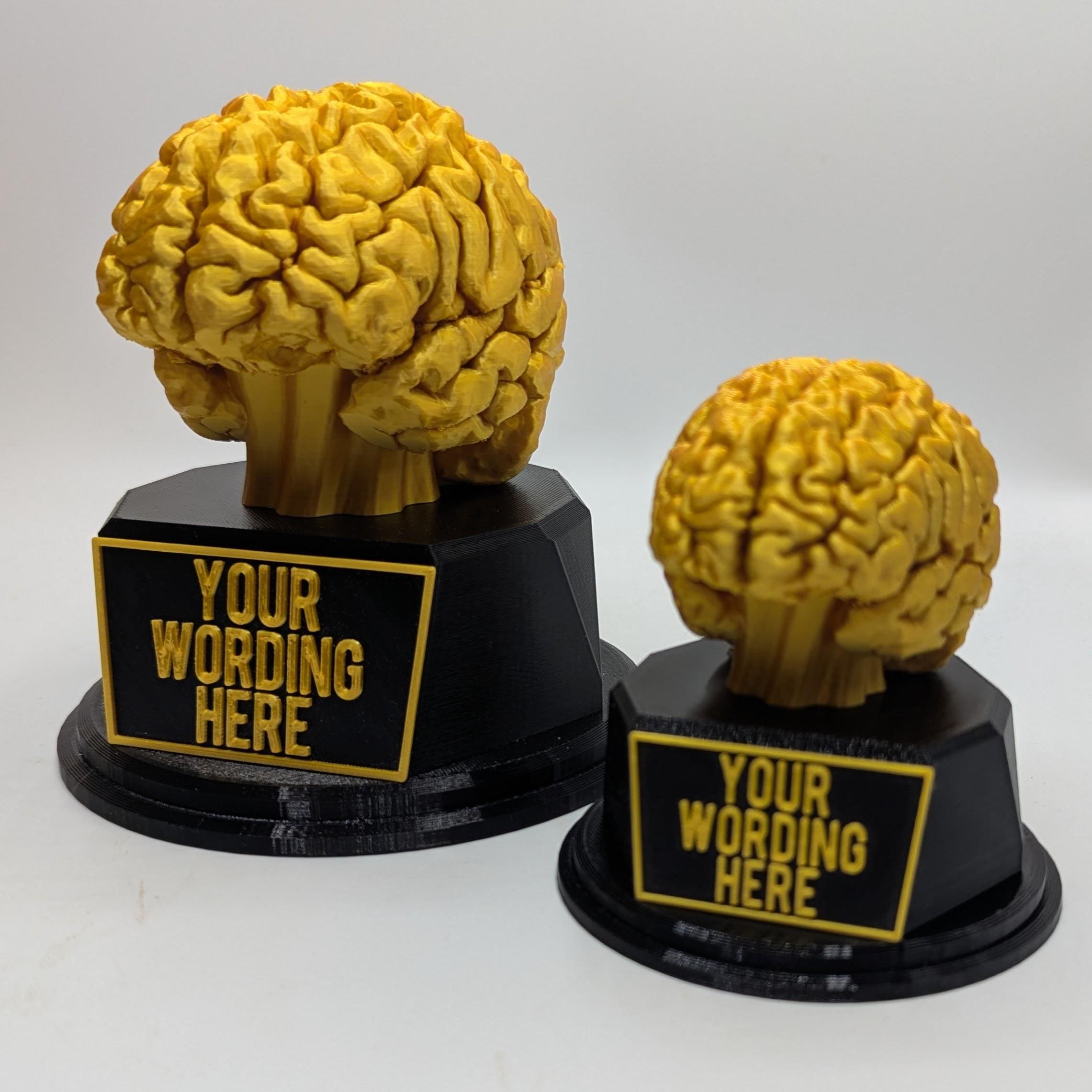 Personalised Brain Trophy, Big Brain Trophy, Best Quizzer Trophy, Clever Award Gift, Biggest Brain Trophy, Brain Award, Knowledge Trophy