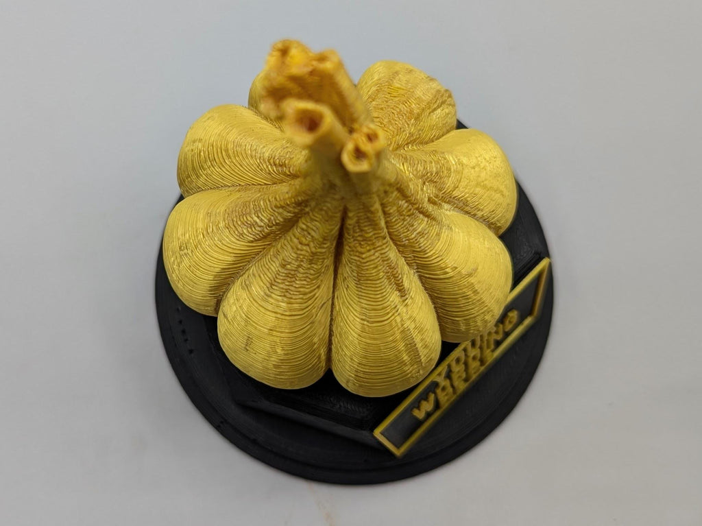 Personalised Garlic Trophy, Garlic Bulb Trophy, Garlic Lover Gift, Vegetable Award, Garlic Award Trophy, Custom Garlic Trophy, Garlic Shape