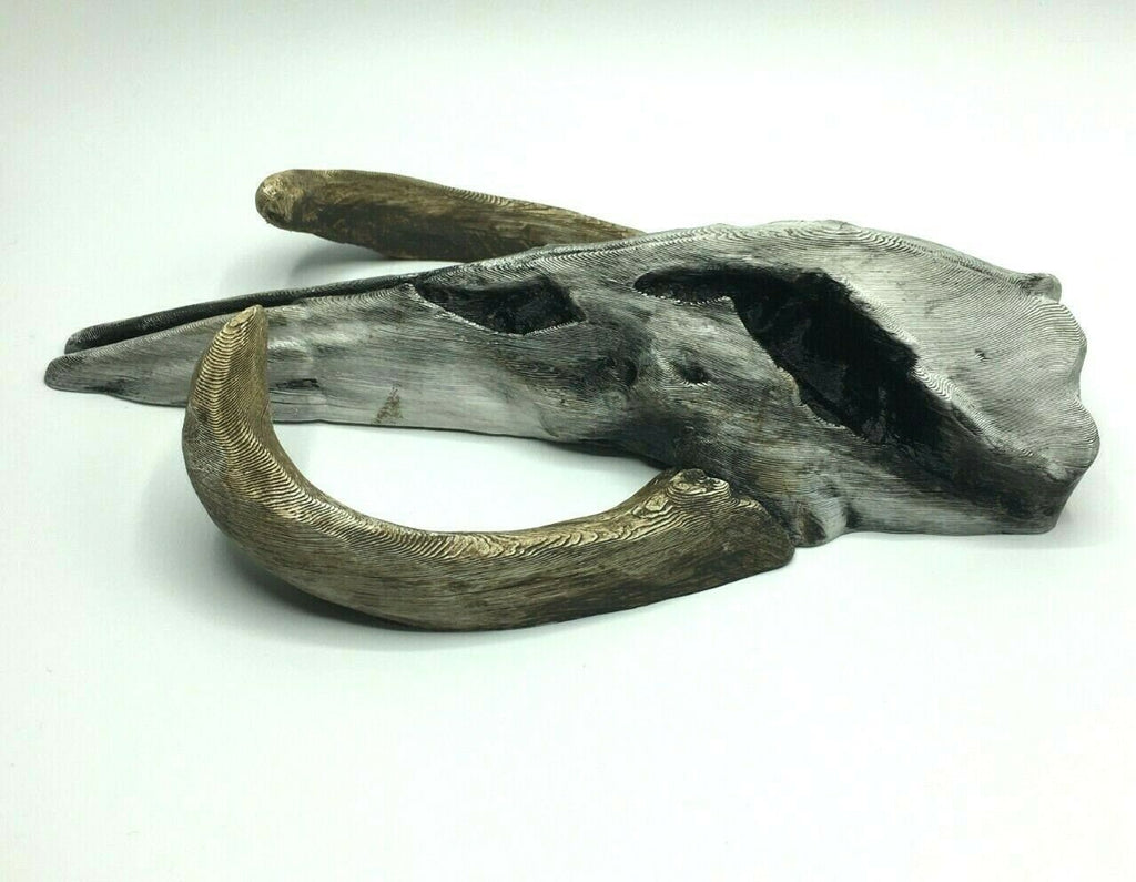 Mythosaur Skull Replica 260mm, Skull Wall Art, Skull Prop Replica, Skull Wall Art Replica, Sci-Fi Skull Wall Art, Mythosaur Skull Wall Art