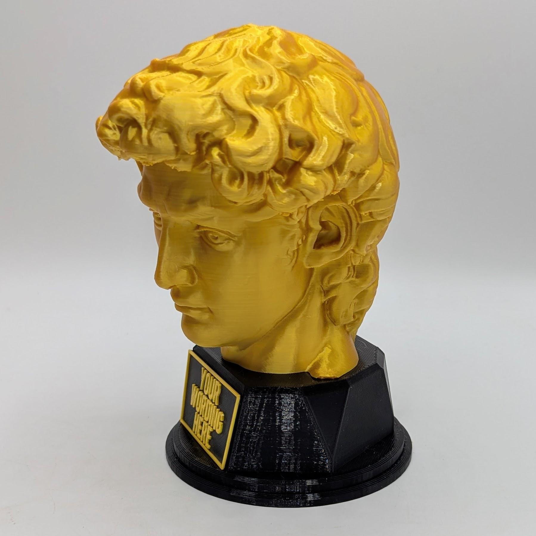 Personalised David's Head Trophy, David's Head Award, Best Employee Award, Office Trophy, Custom Trophy, Golden David Head Award, David Head