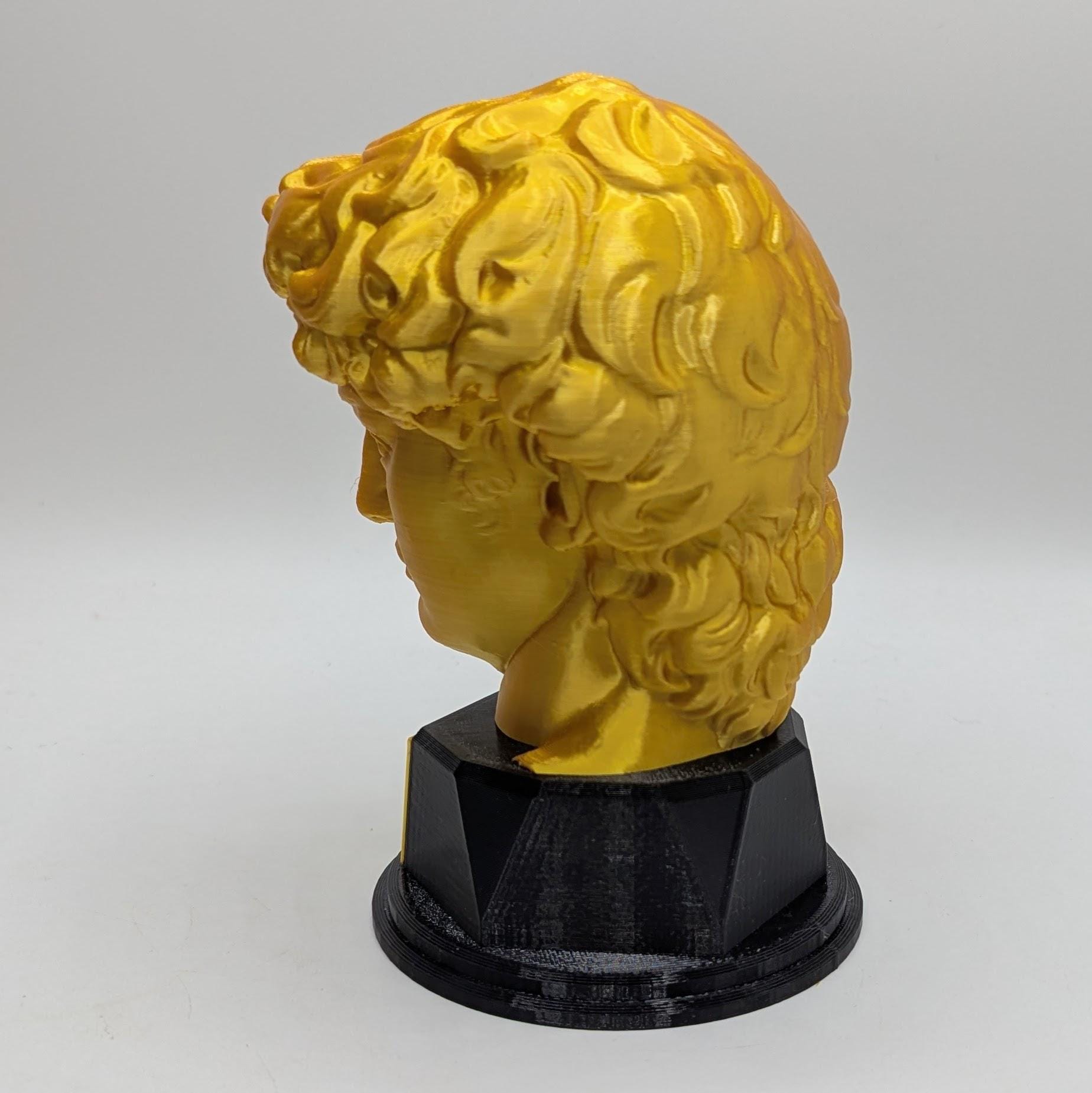 Personalised David's Head Trophy, David's Head Award, Best Employee Award, Office Trophy, Custom Trophy, Golden David Head Award, David Head