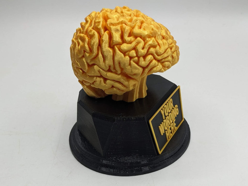Personalised Brain Trophy, Big Brain Trophy, Best Quizzer Trophy, Clever Award Gift, Biggest Brain Trophy, Brain Award, Knowledge Trophy