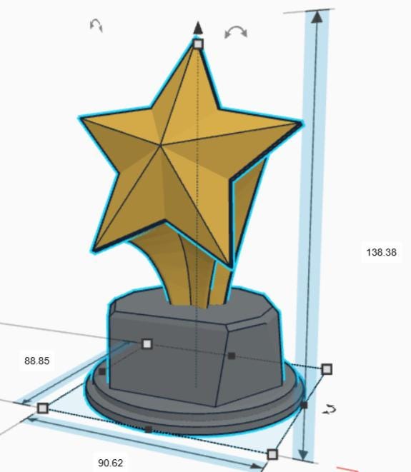 Personalised Star Trophy, Shooting Star Award, Star Joke Gift, Custom Trophy Award, Star Shaped Gift, Star Of The Month Award, Biggest Star