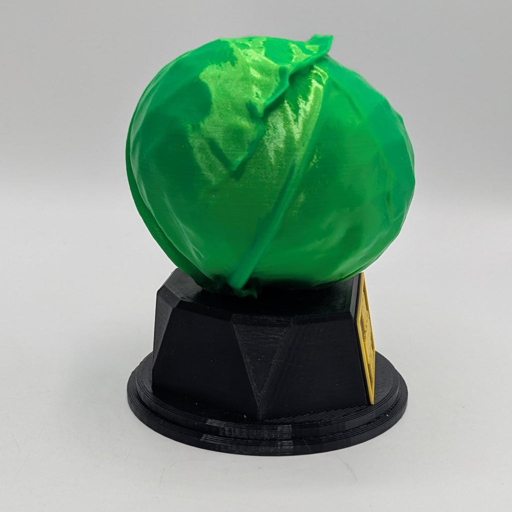 Personalised Cabbage Trophy, Cabbage Fun Trophy, Cabbage Lover Gift, Cabbage Award, Best Cabbage Gift, Gardener Award Gift, Smelly Cabbage