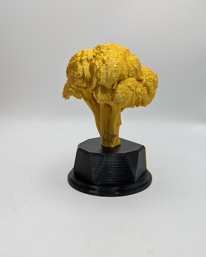 Personalised Broccoli Trophy, Gardener Award Gift, Custom Trophy Gift, Broccoli Lover Gift, Office Trophy, Vegetable Award, Vegetarian Gift