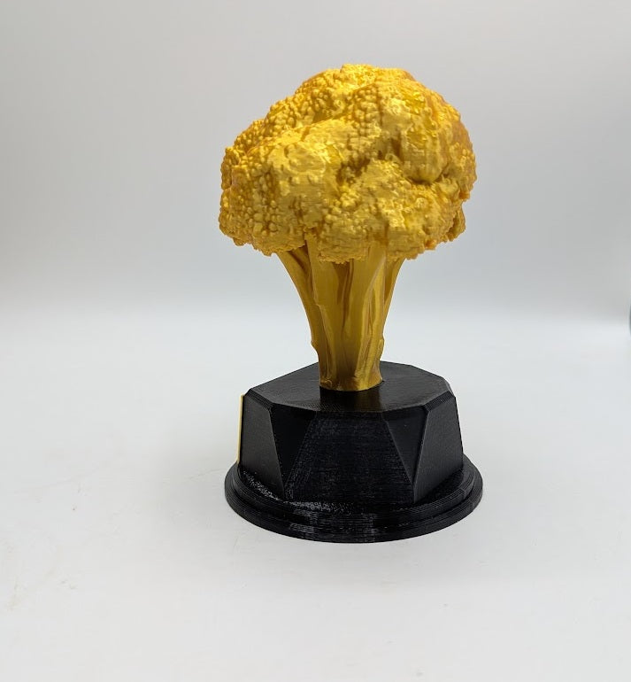 Personalised Broccoli Trophy, Gardener Award Gift, Custom Trophy Gift, Broccoli Lover Gift, Office Trophy, Vegetable Award, Vegetarian Gift