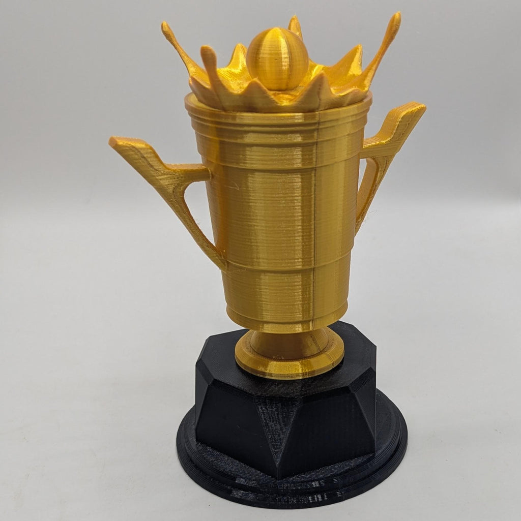 Personalised Beer Pong Trophy, Stag Night Trophy, Biggest Drinker Award, Custom Trophy, Beer Lover Gift, Funny Trophy, Office Beer Trophy