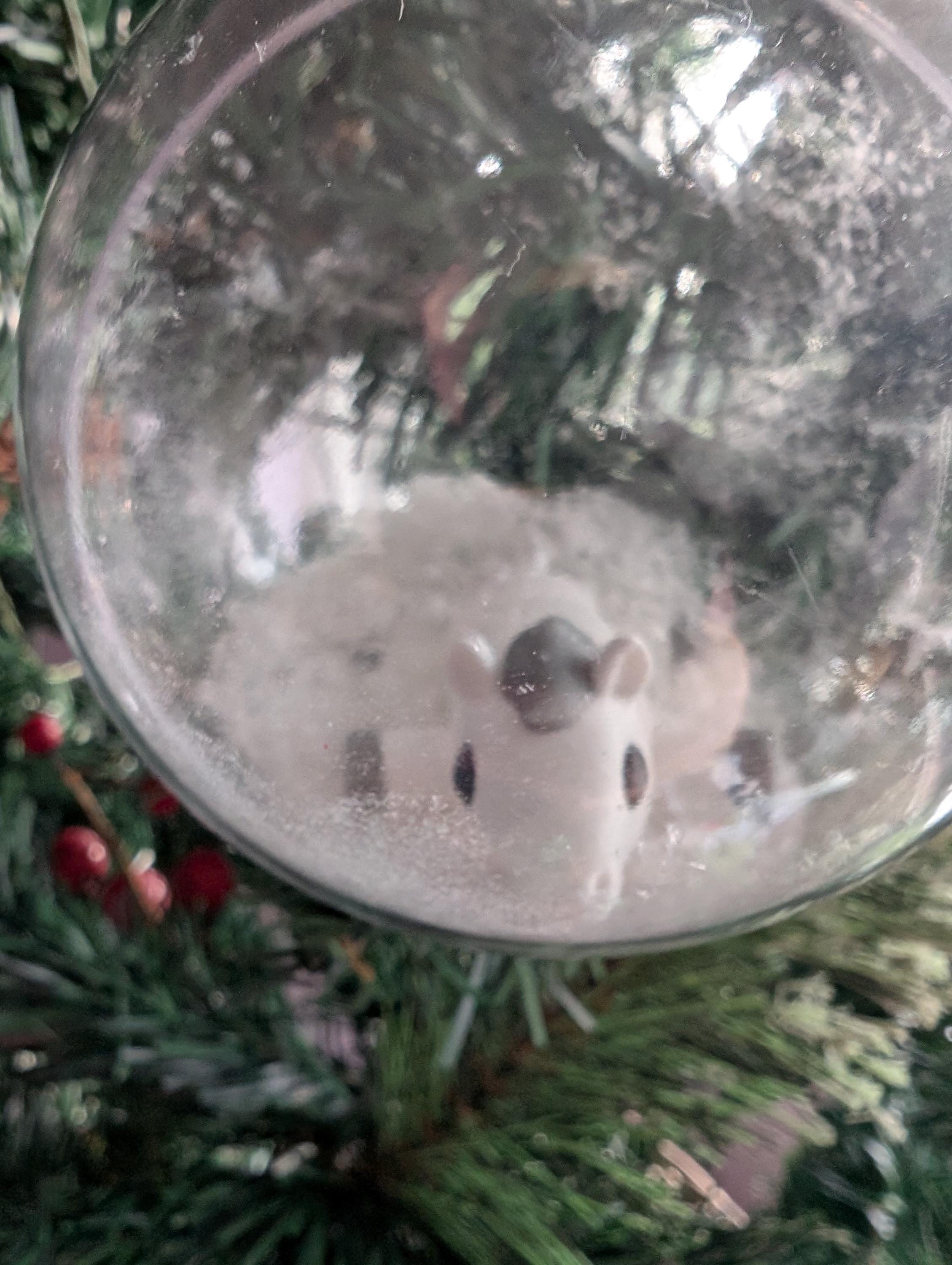 Personalized Horse Christmas Bauble, Custom Tree Decoration