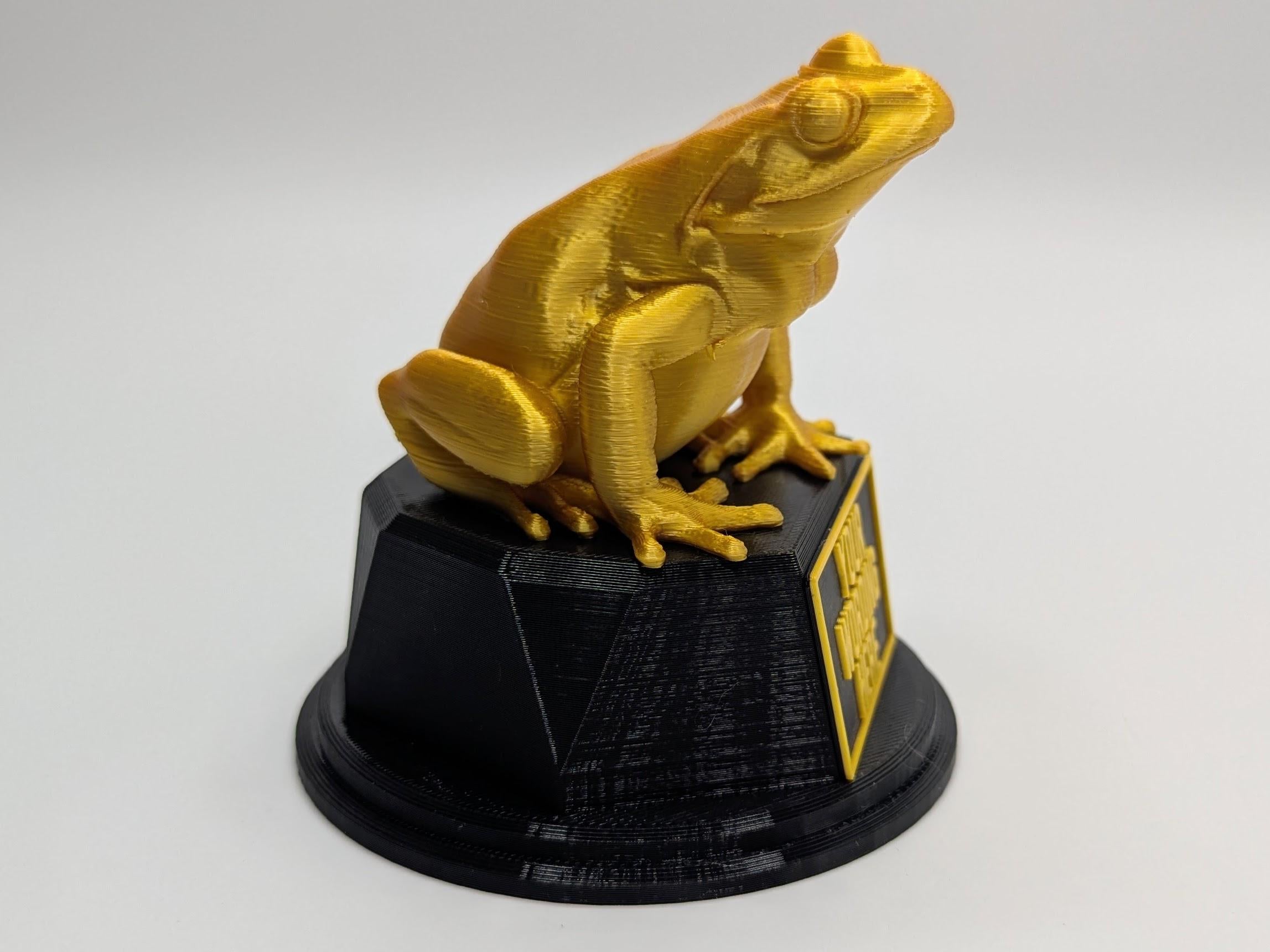 Personalised Frog Trophy, Grumpy Frog Trophy, Golden Frog Award, Custom Trophy, Golden Frog, Funny Trophy, Frog Lover Gift, Office Trophy