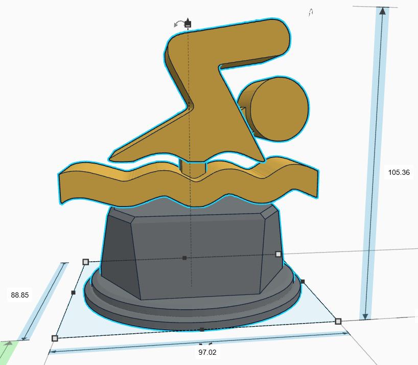 Personalised Swimming Trophy, Swimming Competition Award, Best Swimmer Trophy, Custom Swimming Trophy, Best Swimmer Award, Swimming Trophy