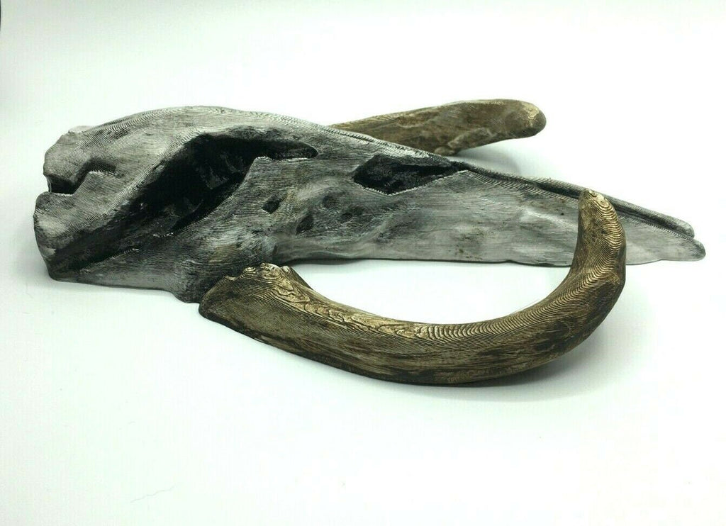 Mythosaur Skull Replica 260mm, Skull Wall Art, Skull Prop Replica, Skull Wall Art Replica, Sci-Fi Skull Wall Art, Mythosaur Skull Wall Art