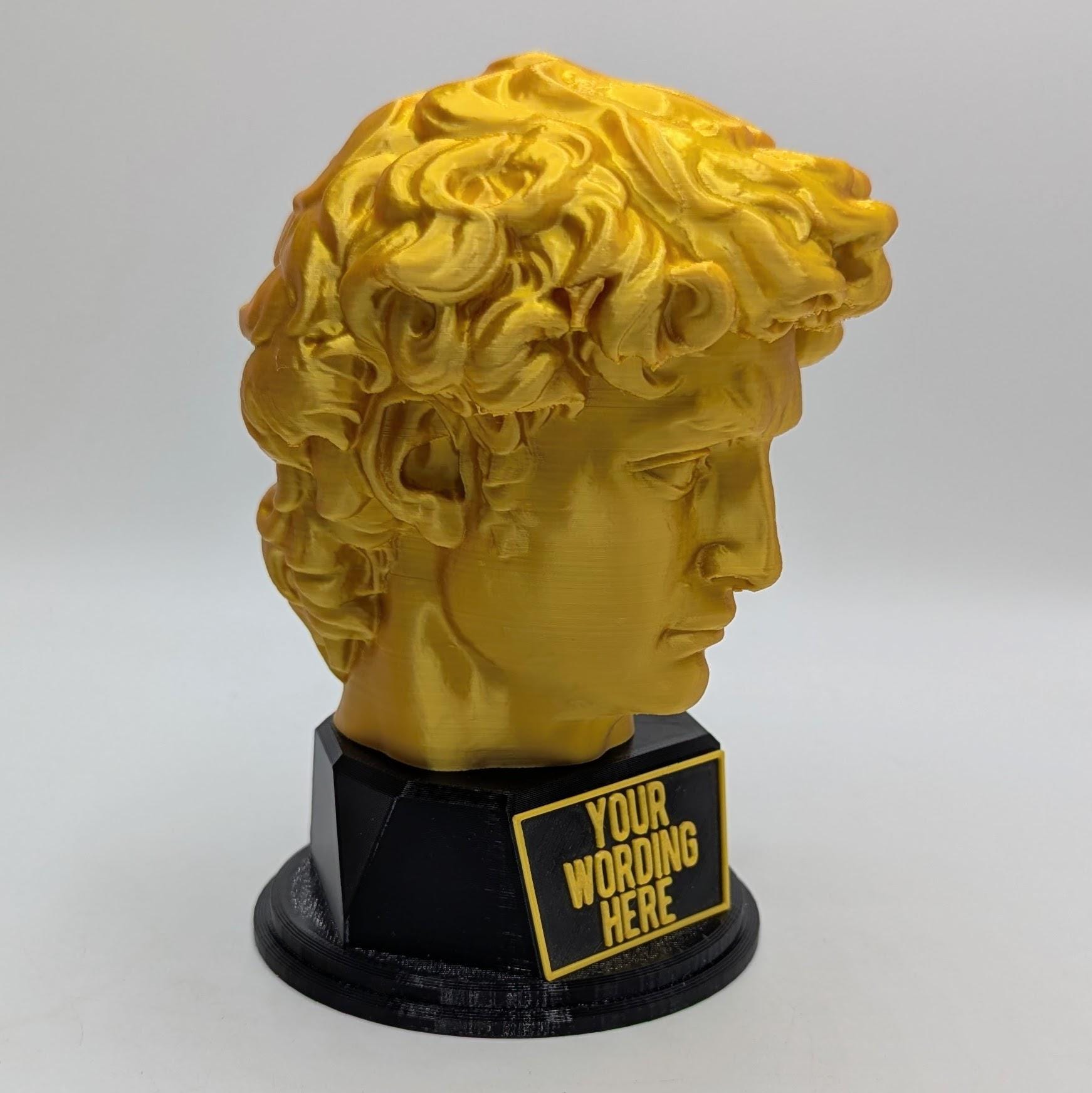 Personalised David's Head Trophy, David's Head Award, Best Employee Award, Office Trophy, Custom Trophy, Golden David Head Award, David Head