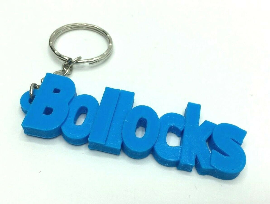 Insult Keyring / Swearword Keyring / Rude Gift for Friend / Insulting Bag Tag Gift / Adult Keyring / Funny Keychain / Insult Keyring / Gift