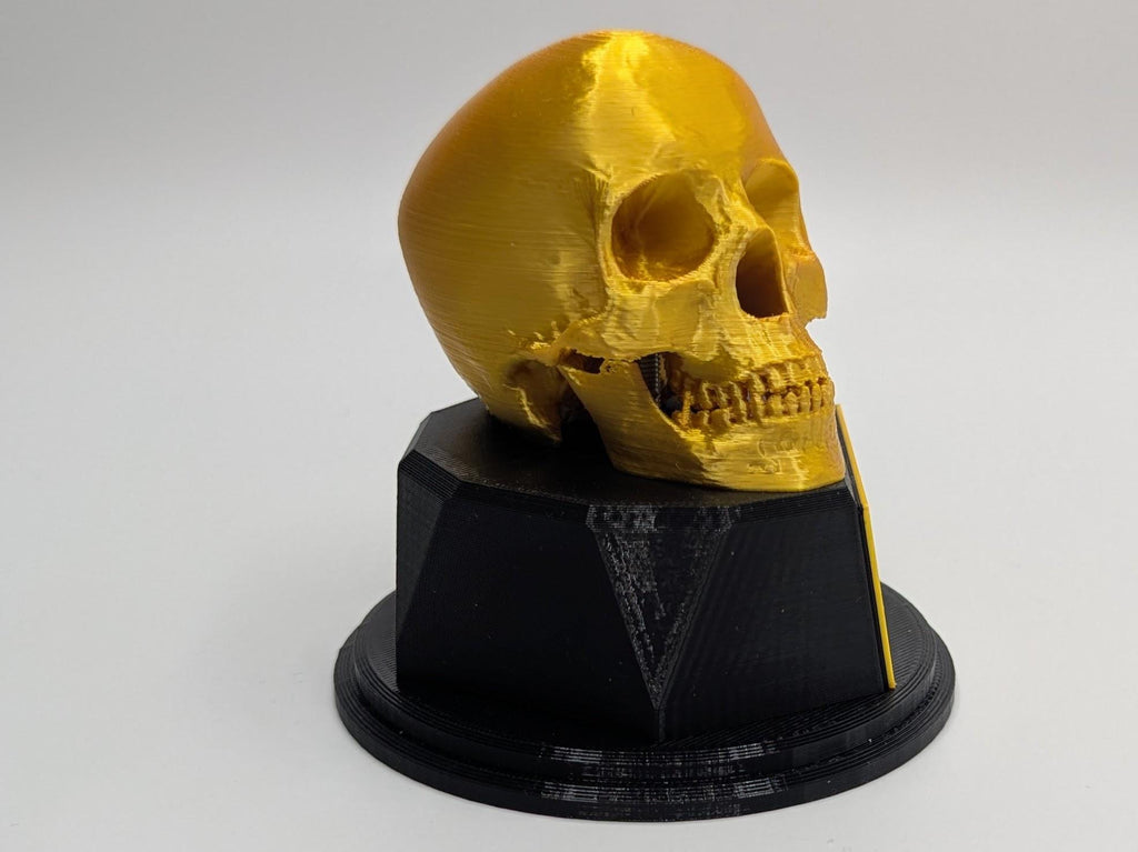 Personalised Skull Trophy, Human Skull Trophy, Gothic Lover Gift, Halloween Award, Custom Skull Lover Gift, Skull Shaped Trophy, Skull Award