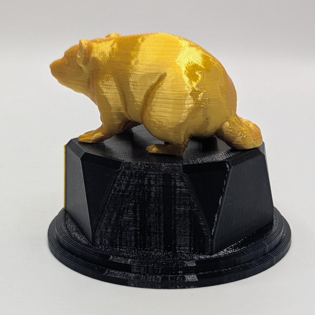 Personalised Rat Trophy, Dirty Rat Trophy, Biggest Rat Award, Custom Trophy, Rat Lover Gift, Funny Trophy, Office Rat Trophy, Rat Owner Gift