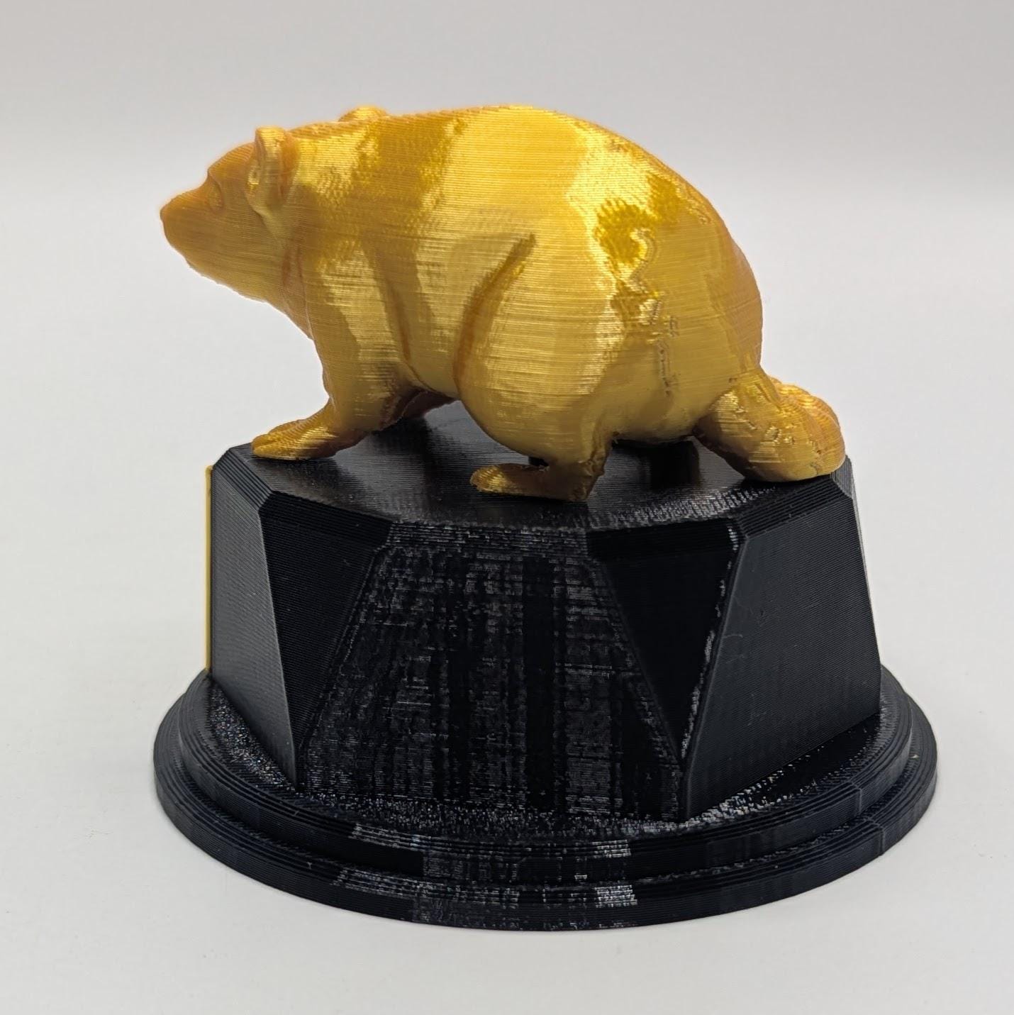 Personalised Rat Trophy, Dirty Rat Trophy, Biggest Rat Award, Custom Trophy, Rat Lover Gift, Funny Trophy, Office Rat Trophy, Rat Owner Gift