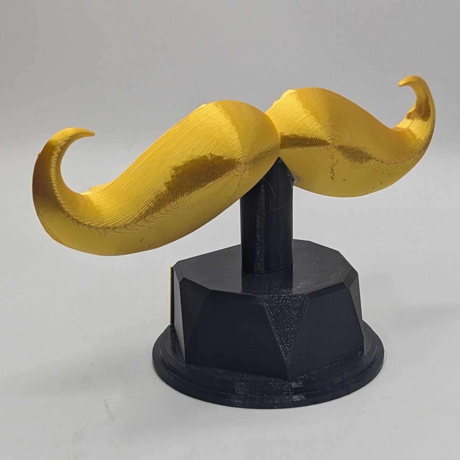 Personalised Moustache Trophy, Movember Award Gift, Custom Trophy Gift, Moustache Award Gift, Office Trophy, Best Moustache Gift, Moustache