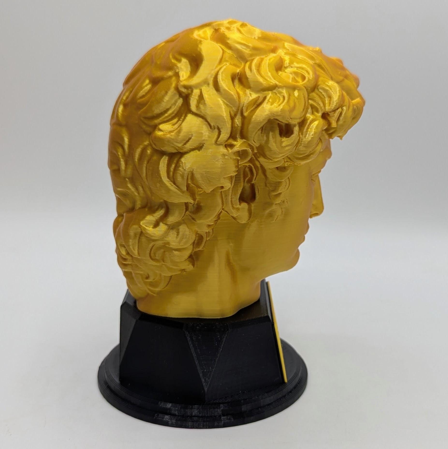 Personalised David's Head Trophy, David's Head Award, Best Employee Award, Office Trophy, Custom Trophy, Golden David Head Award, David Head